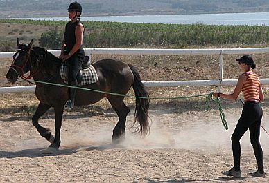 Unterricht auf dem Reitplatz